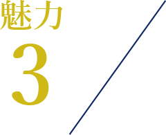 新潟市中央区鳥屋野の魅力
